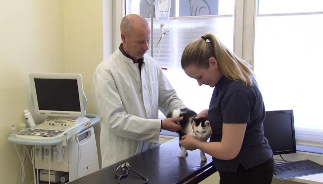 В Австрії зафіксували перший випадок, коли людина заразила кішку «короною»