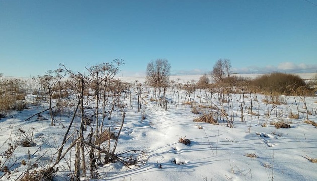 На Житомирщині у полі замерз 17-річний хлопець
