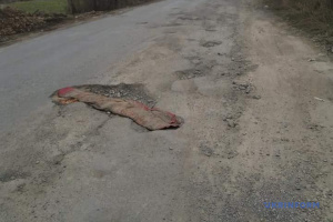 Миколаївська облрада звернулася до уряду щодо критичного стану низки доріг