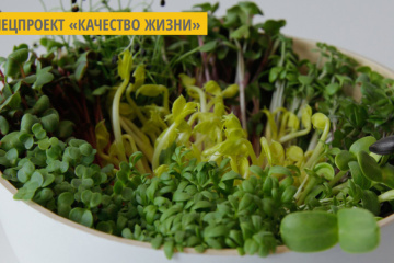 Ивано-Франковский фермер предлагает начать весну с 50 граммов микрозелени