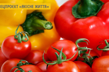 Прямо з поля: вирощені на Чернігівщині томати й перці конкурують з південними