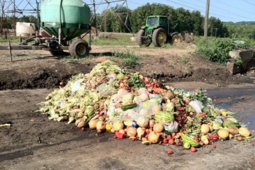 У світі щороку викидають понад мільярд тонн продуктів - ООН