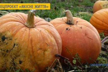 Що лікує гарбуз і кому гарбуза не можна