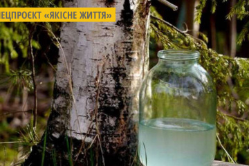 Корисні властивості березового соку
