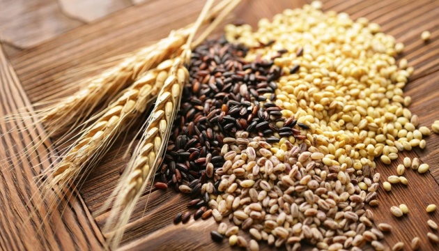 ФАО оголосила тендер на закупівлю насіння для підтримки українських фермерів 