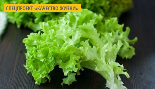 На Киевщине фермеры выращивают салат и руколу без почвы На Киевщине фермеры выращивают салат и руколу без почвы