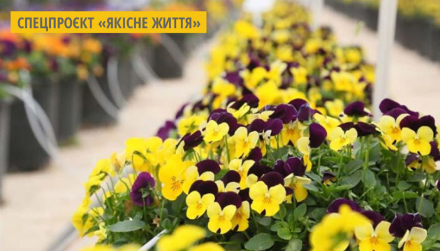 У Туреччині вирощують їстівні «електричні» квіти