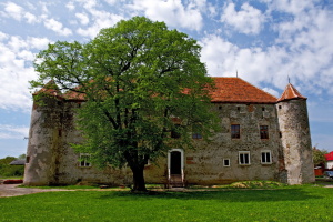 Шість замків Закарпаття внесли до Держреєстру нерухомих пам’яток