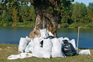 Говорять про екологію, але чи діють? Еко-звички українців | опитування до Дня довкілля