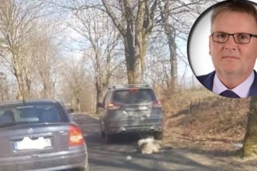 У Польщі колишнього сенатора судитимуть за знущання з собаки