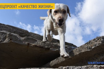 В Тернополе для детей проводят сеансы канистерапии - лечение с участием собак