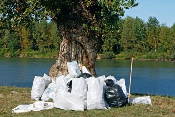 Говорять про екологію, але чи діють? Еко-звички українців | опитування до Дня довкілля