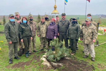 На горе Карачун высадили деревья и цветы