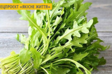 Корисні властивості руколи