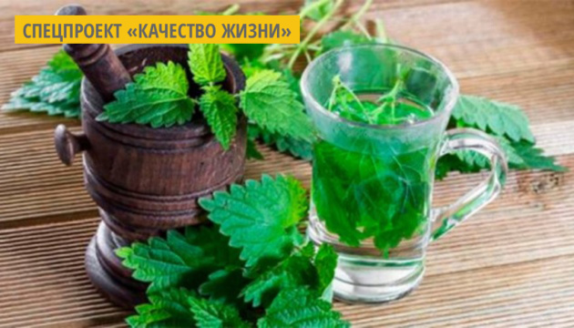 Крапива обогащает рацион необходимыми и полезными веществами Крапива обогащает рацион необходимыми и полезными веществами