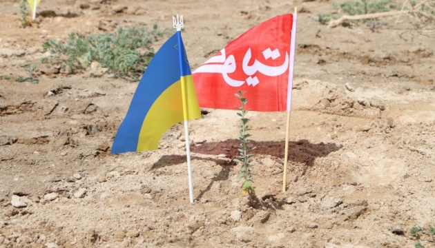 Українці в Кувейті висадили дерева на алеї українсько-кувейтської дружби