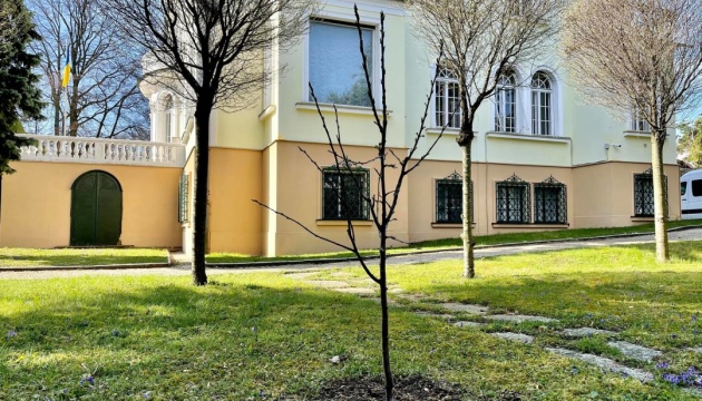 В Австрії українські дипломати висадили черешню, сливу та сакуру