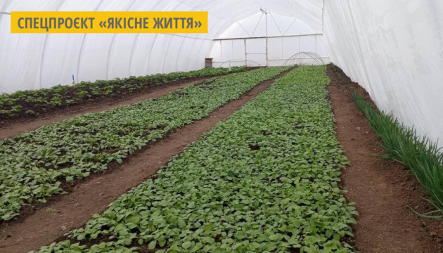 На Миколаївщині учасники АТО виростили перший екологічно чистий редис