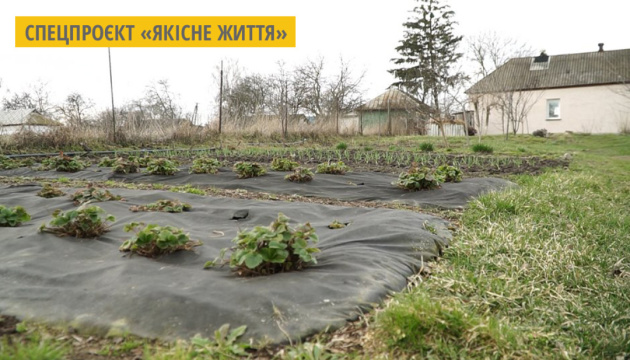 На Чернігівщині місцева жителька перетворює органічне сміття на теплі грядки