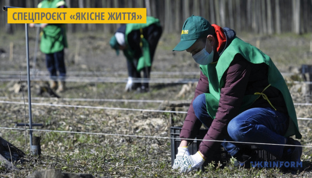 Україна встановила світовий рекорд з озеленення планети