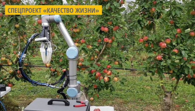 В Австралии разработали робота, который может собирать одно яблоко за 7 секунд В Австралии разработали робота, который может собирать одно яблоко за 7 секунд