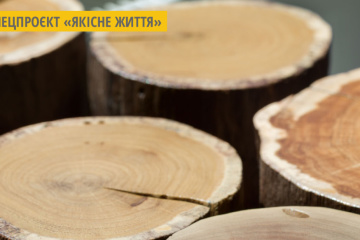 З коріння старих дерев: тернополянин виготовляє унікальні меблі