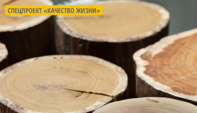 Из корней старых деревьев: тернополянин производит уникальную мебель Из корней старых деревьев: тернополянин производит уникальную мебель
