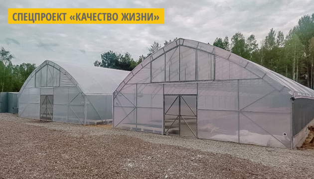 На Житомирщине создан специализированный банк семян хвойных и лиственных деревьев На Житомирщине создан специализированный банк семян хвойных и лиственных деревьев