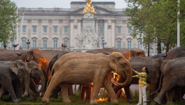 Стадо дерев'яних слонів «пригнали» до Букінгемського палацу