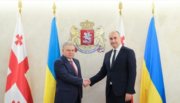 Міністри оборони України та Грузії домовилися про співпрацю військових відомств
