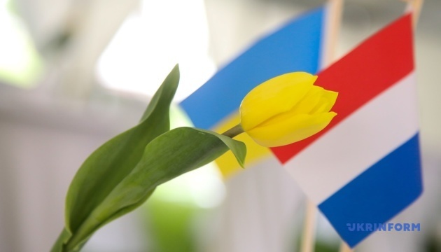 Сто тисяч тюльпанів від Нідерландів у центрі Києва є знаком дружби - почесний консул