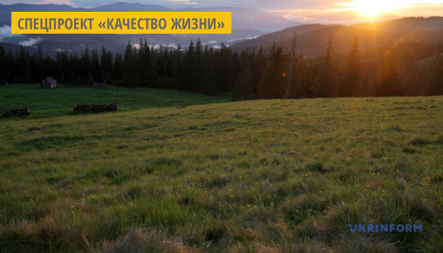 На Прикарпатье в горах построят центр отдыха и реабилитации детей-сирот На Прикарпатье в горах построят центр отдыха и реабилитации детей-сирот