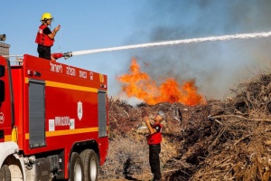 У секторі Гази заявили про 3000 загиблих унаслідок бойових дій