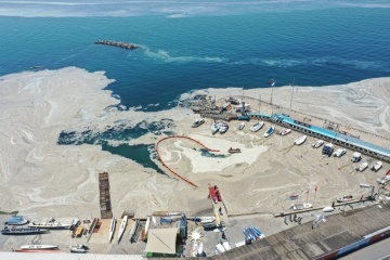 Мраморное море покрылось слизью, за его спасение взялся Эрдоган