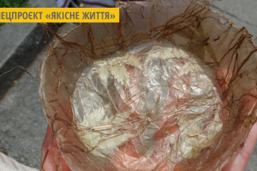 У Житомирі виготовляють біопосуд із конопель