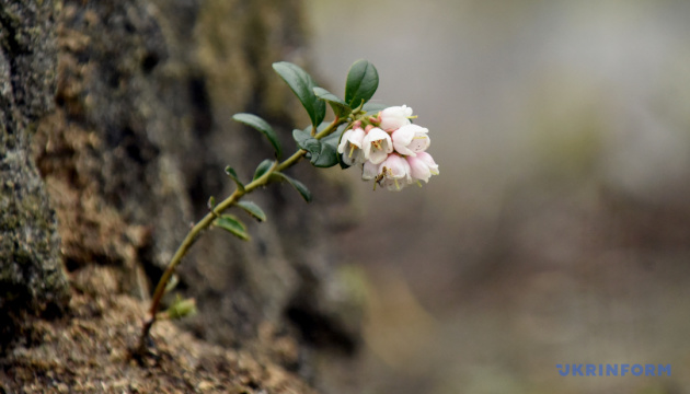 В Україні завтра - прохолодно і дощі, лише на півдні та сході прогріє до +31°