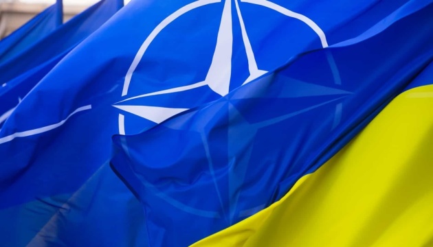 EU, NATO working closely to support Ukraine - Sweden’s defense chief