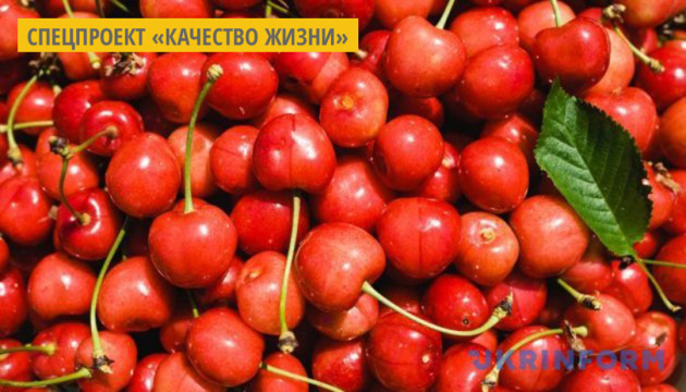 Черешня: чем полезна эта ягода Черешня: чем полезна эта ягода