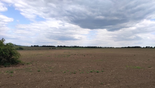 Кукурудзою засіяли понад 11 гектарів нацпарку «Подільські Товтри» Кукурудзою засіяли понад 11 гектарів нацпарку «Подільські Товтри»