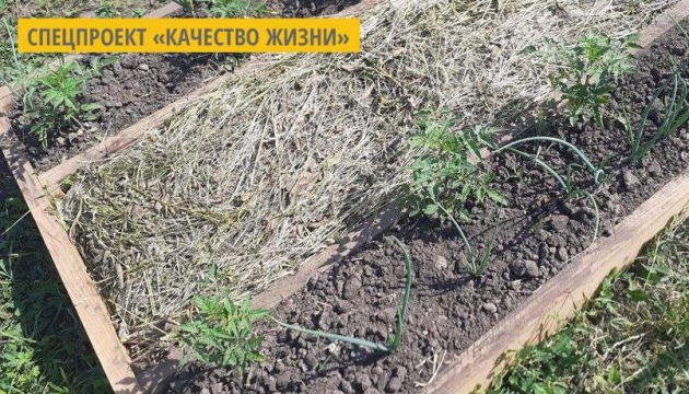 Восьмилетний волынский блогер учит, как компостировать отходы Восьмилетний волынский блогер учит, как компостировать отходы