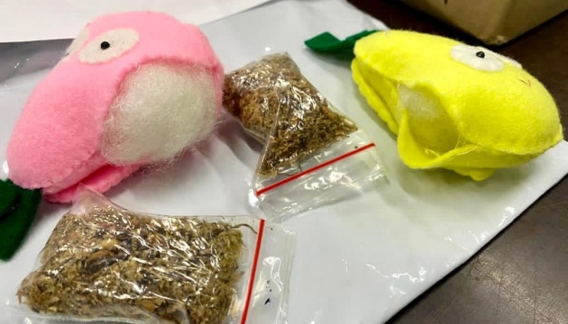 У посилці іграшок з Індонезії митники знайшли наркотики