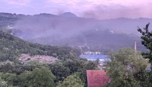 У Сербії вогонь від пожежі після вибуху на оборонному заводі перекинувся на ліс