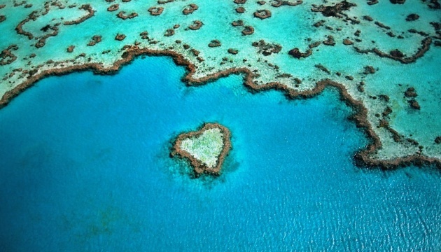 Большой Барьерный риф в опасности из-за изменений климата - ЮНЕСКО