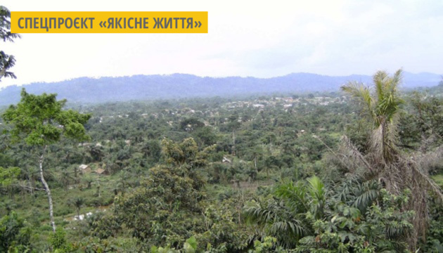 Габон - перша африканська країна, якій заплатили за захист тропічних лісів