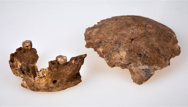 В Ізраїлі знайшли рештки первісної людини, яка жила понад 100 тисяч років тому