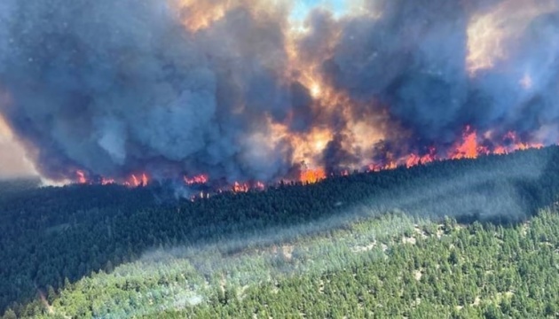 У Канаді вирує масштабна лісова пожежа, евакуювали кілька сотень людей