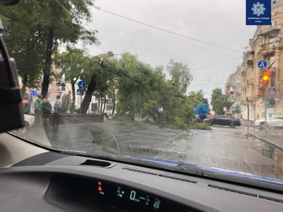 Негода у Києві: чотири райони міста підтопило, впало близько 150 дерев
