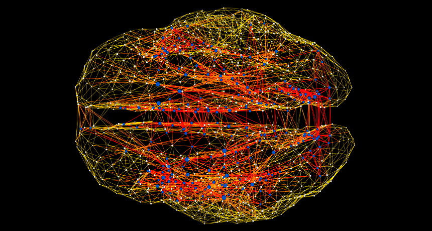 Використовуючи технології сканування мозку, вчені можуть створити карти (наведені вище), що відображають мозкову мережу
