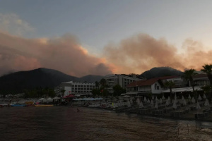На западе Турции снова горят леса