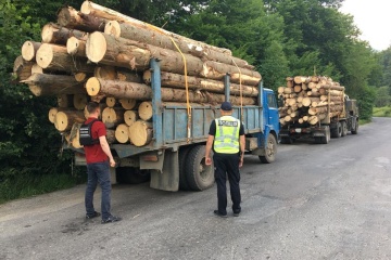 Партію деревини з «чужими» чипами затримали на Закарпатті